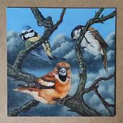 Minicursus figuratief schilderen / Vogels